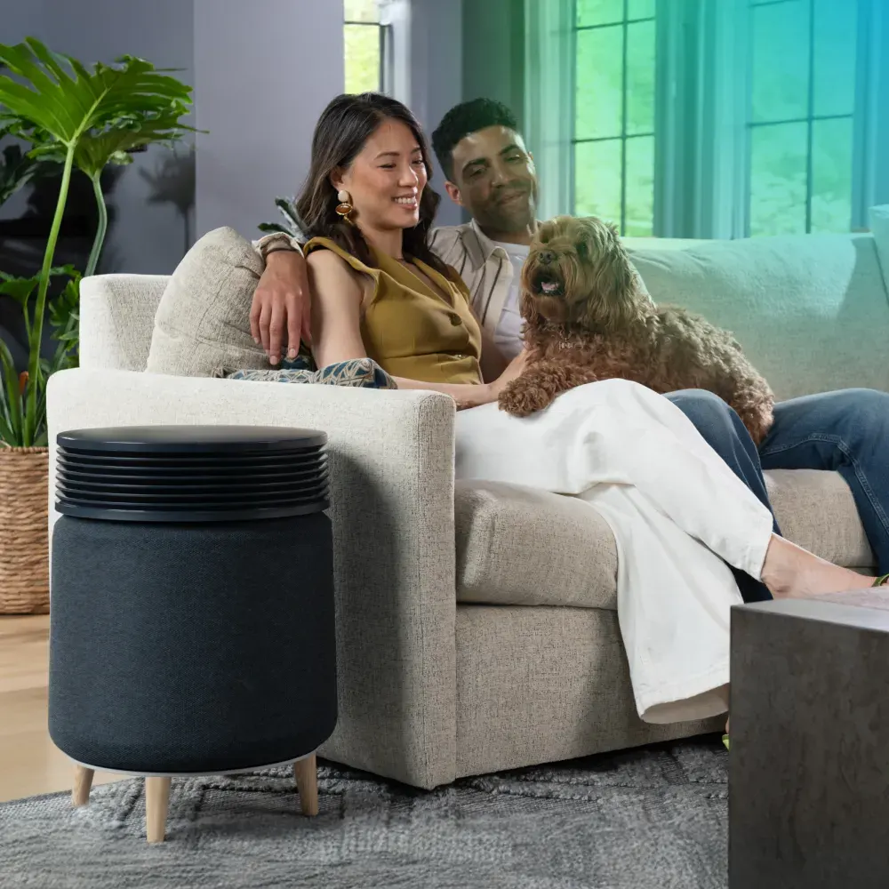 Blueair Blueair Blue Signature Large Leg Base - Wood - thumbnail 4