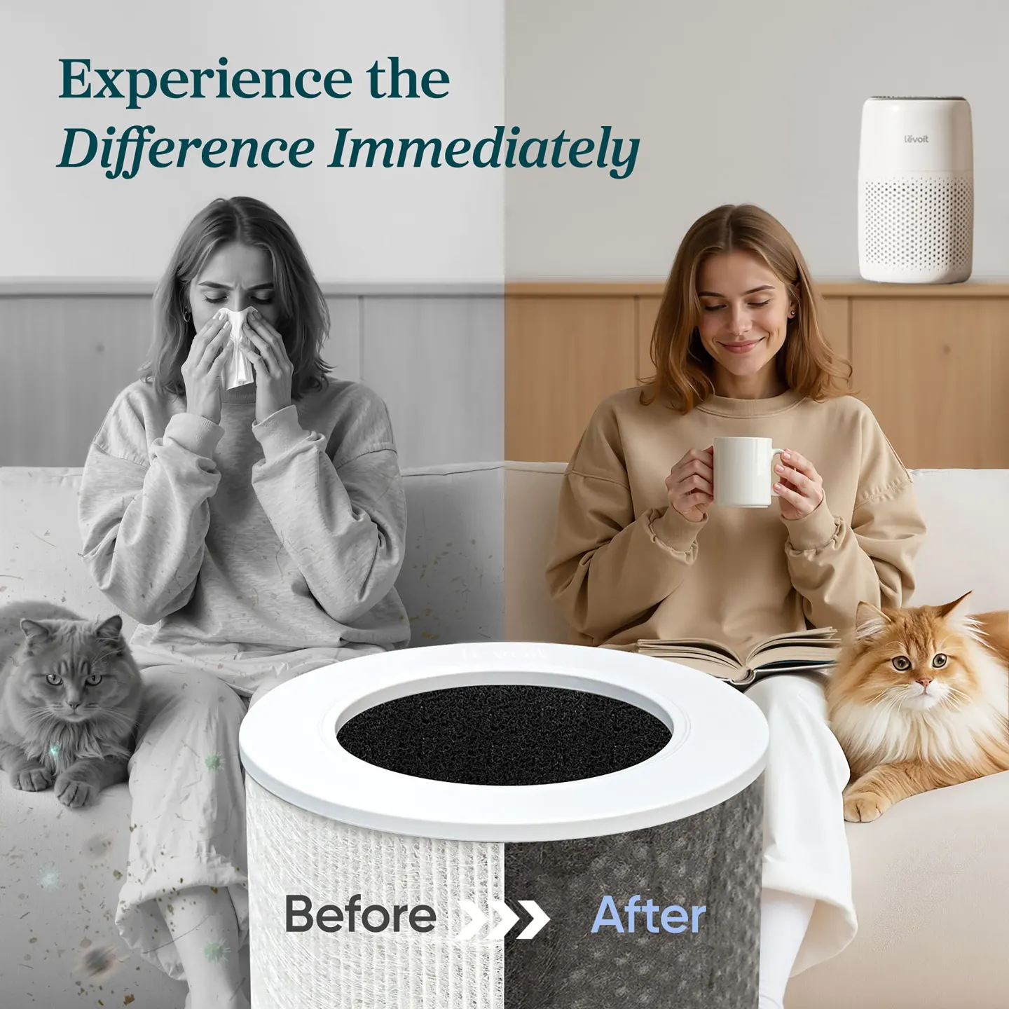 Levoit Levoit Core Mini Air Purifier with Night Light - thumbnail 6