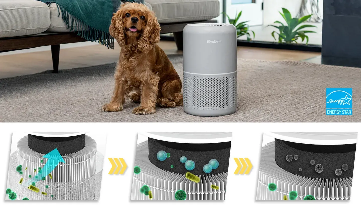 Levoit Levoit Core P350 Pet Care Air Purifier - thumbnail 6