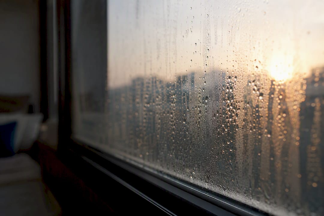 Condensation droplets on window glass