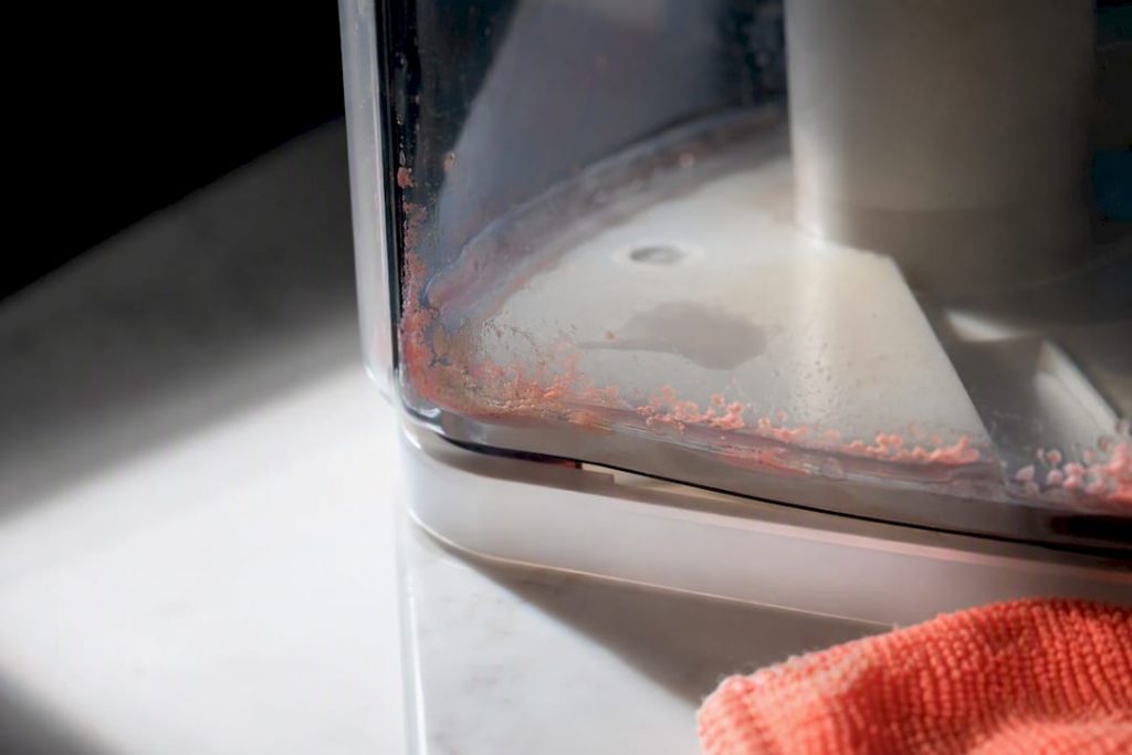 UAE Homes: One Weekly Habit to Stop Pink Mold in Humidifiers